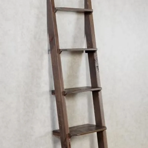 Leaning Ladder Bookcase