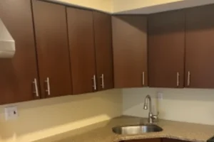 Modern dark custom cabinets in Honey Brook, PA